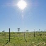 How to Keep Cool in the Texas heat