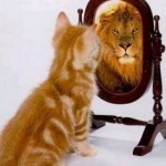 Mirror, mirror on the wall